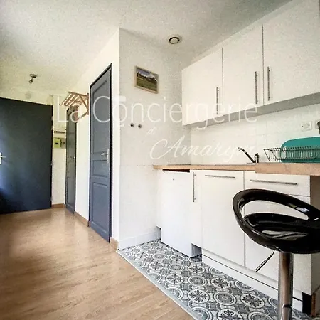 Studio A 300m De La De Apartment